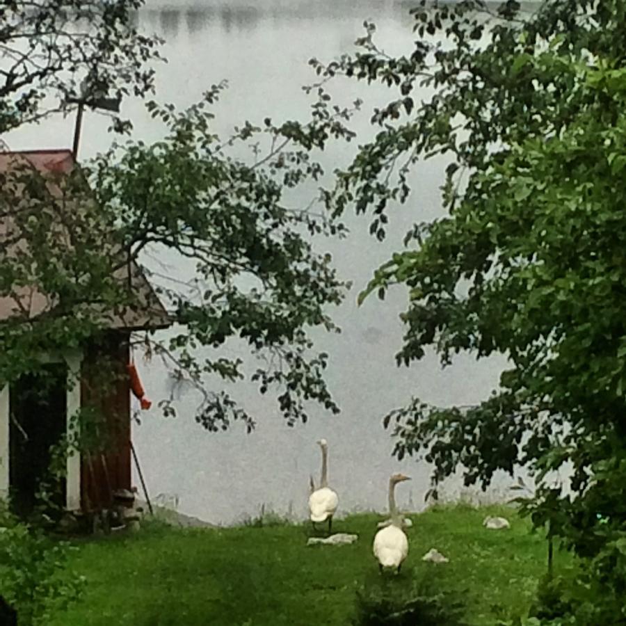 Linkkumylly Cottages Mäntyharju Exteriör bild