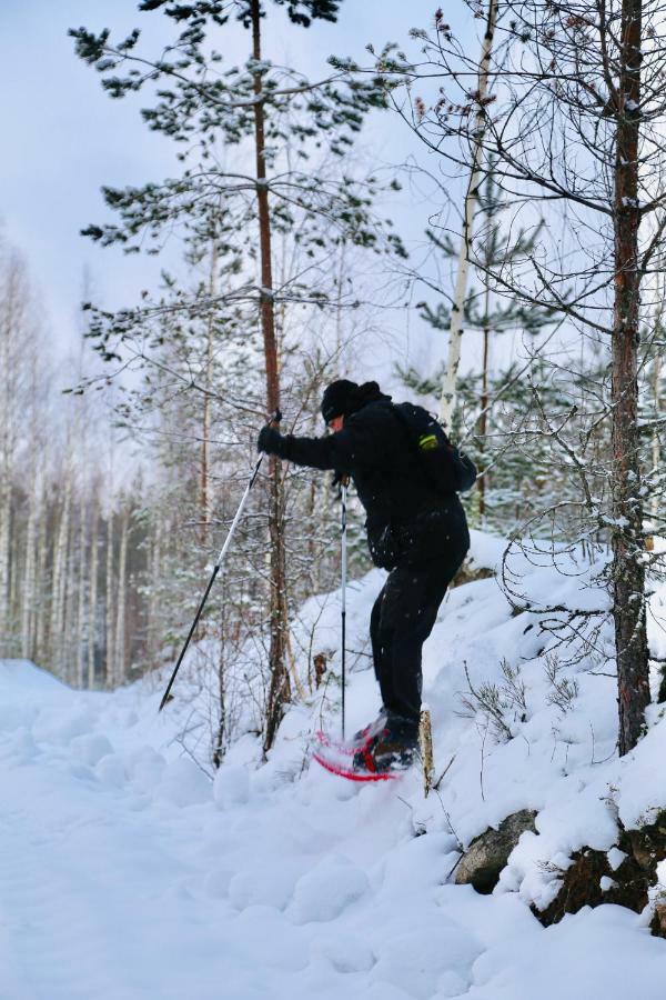 Linkkumylly Cottages Mäntyharju Exteriör bild